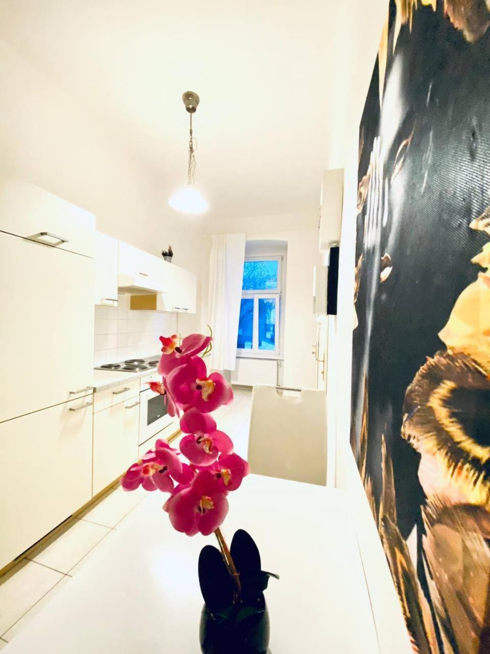 Family Apartment Th8 8 فيينا المظهر الخارجي الصورة